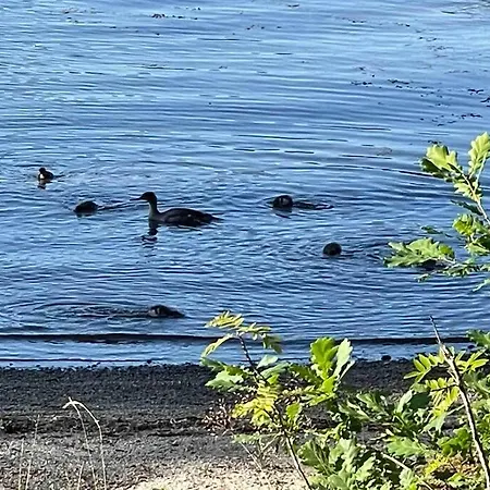 Bosvik Gard, Nyrenovert I Hovedhus Fra 1756